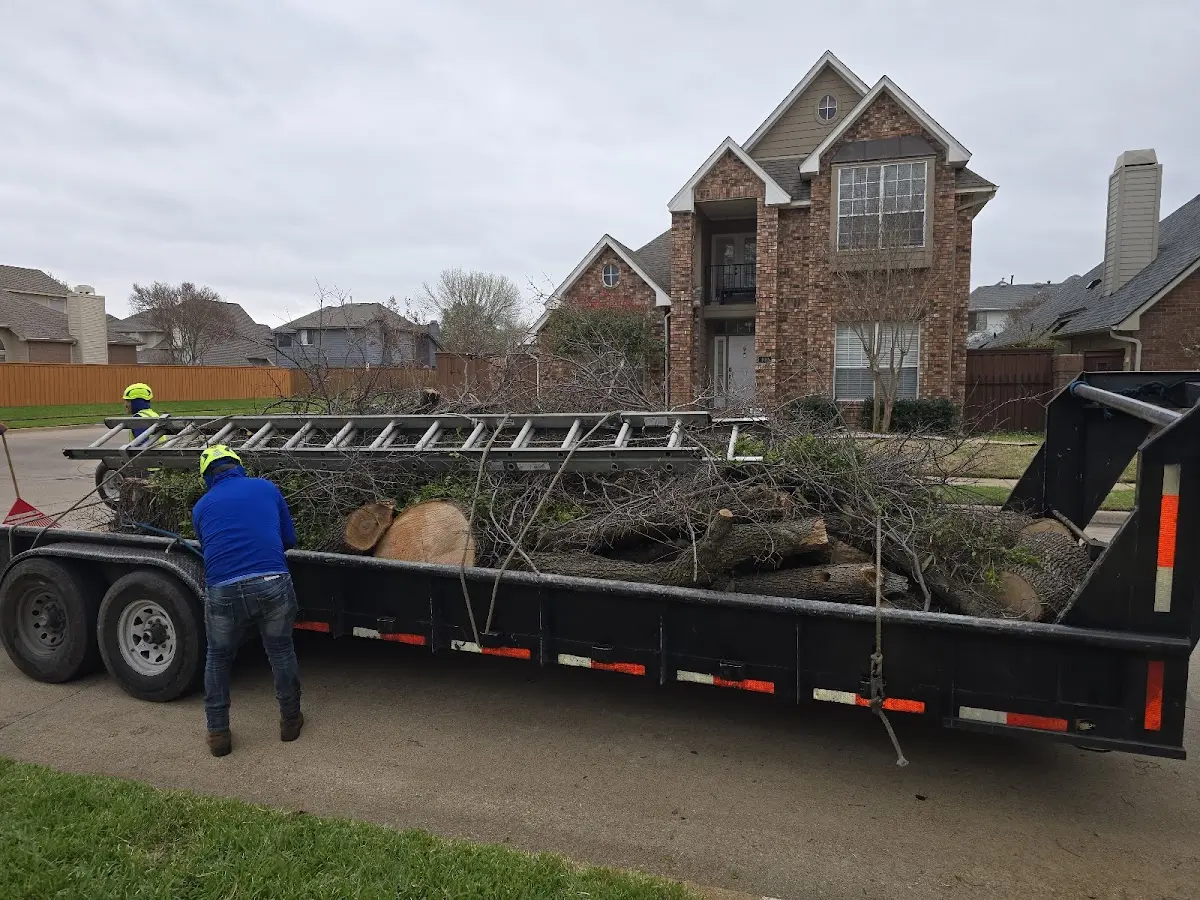 Expert Lot Clearing with proper safety equipment in Sharon Center